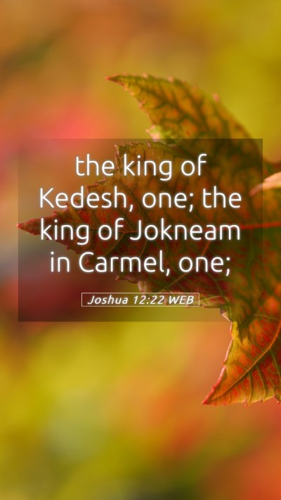 Picture 05 - Joshua 12:22 WEB Mobile Phone Wallpaper - the king of Kedesh, one; the king of Jokneam in - Mobile Bible Verse Wallpaper