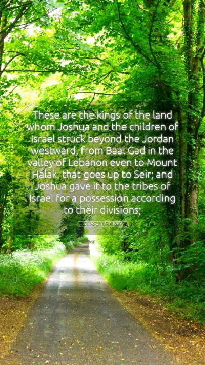 Picture 05 - Joshua 12:7 WEB Mobile Phone Wallpaper - These are the kings of the land whom Joshua and - Mobile Bible Verse Wallpaper