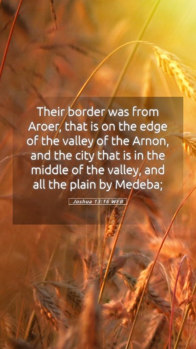 Picture 05 - Joshua 13:16 WEB Mobile Phone Wallpaper - Their border was from Aroer, that is on the edge - Mobile Bible Verse Wallpaper