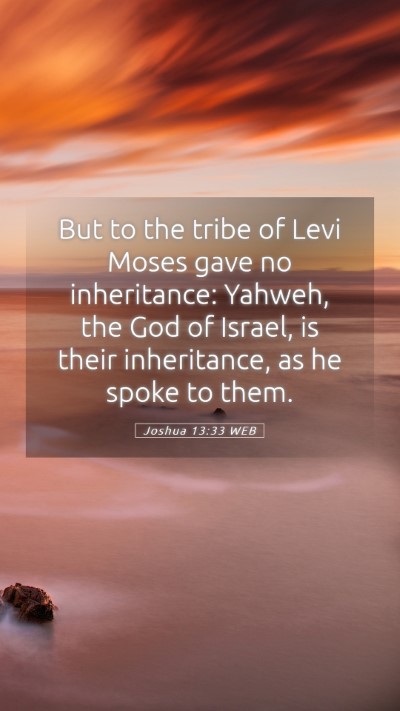 Picture 05 - Joshua 13:33 WEB Mobile Phone Wallpaper - But to the tribe of Levi Moses gave no - Mobile Bible Verse Wallpaper
