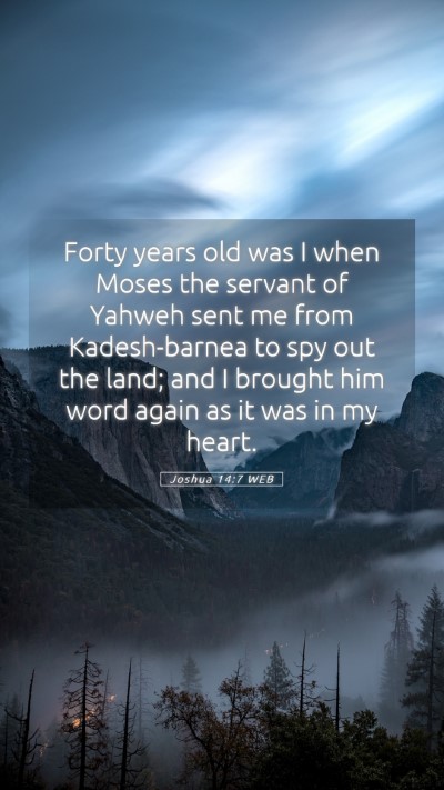 Picture 05 - Joshua 14:7 WEB Mobile Phone Wallpaper - Forty years old was I when Moses the servant of - Mobile Bible Verse Wallpaper