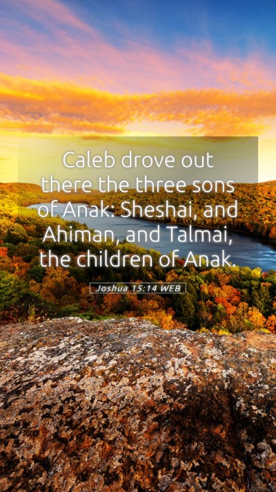 Picture 05 - Joshua 15:14 WEB Mobile Phone Wallpaper - Caleb drove out there the three sons of Anak: - Mobile Bible Verse Wallpaper