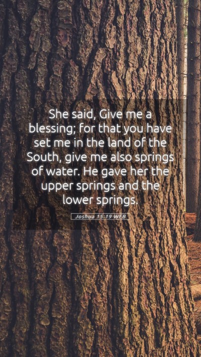 Picture 05 - Joshua 15:19 WEB Mobile Phone Wallpaper - She said, Give me a blessing; for that you have - Mobile Bible Verse Wallpaper