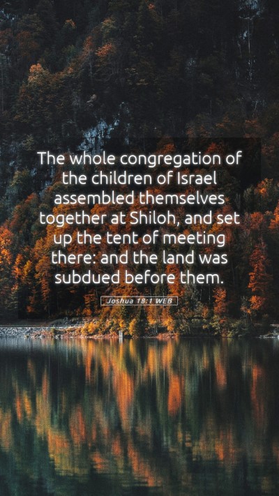 Picture 05 - Joshua 18:1 WEB Mobile Phone Wallpaper - The whole congregation of the children of Israel - Mobile Bible Verse Wallpaper