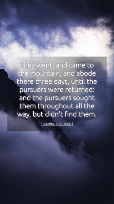 Picture 05 - Joshua 2:22 WEB Mobile Phone Wallpaper - They went, and came to the mountain, and abode - Mobile Bible Verse Wallpaper