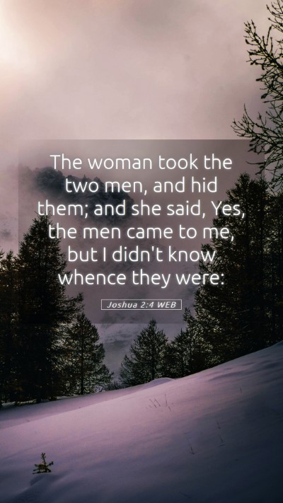 Picture 05 - Joshua 2:4 WEB Mobile Phone Wallpaper - The woman took the two men, and hid them; and she - Mobile Bible Verse Wallpaper