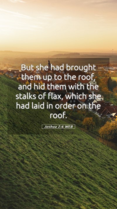 Picture 05 - Joshua 2:6 WEB Mobile Phone Wallpaper - But she had brought them up to the roof, and hid - Mobile Bible Verse Wallpaper