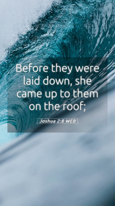 Picture 05 - Joshua 2:8 WEB Mobile Phone Wallpaper - Before they were laid down, she came up to them - Mobile Bible Verse Wallpaper