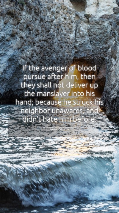 Picture 05 - Joshua 20:5 WEB Mobile Phone Wallpaper - If the avenger of blood pursue after him, then - Mobile Bible Verse Wallpaper