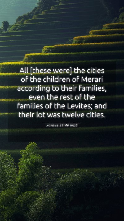 Picture 05 - Joshua 21:40 WEB Mobile Phone Wallpaper - All [these were] the cities of the children of - Mobile Bible Verse Wallpaper