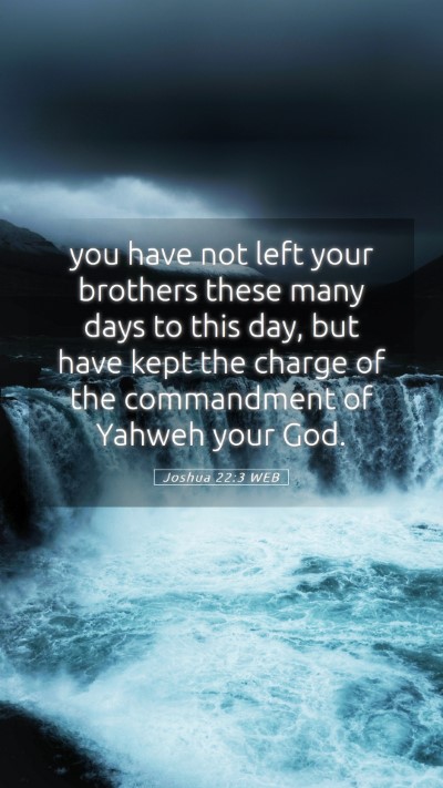 Picture 05 - Joshua 22:3 WEB Mobile Phone Wallpaper - you have not left your brothers these many days - Mobile Bible Verse Wallpaper