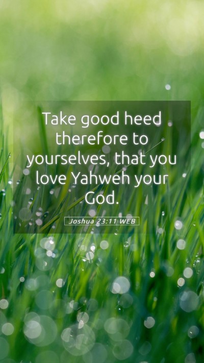 Picture 05 - Joshua 23:11 WEB Mobile Phone Wallpaper - Take good heed therefore to yourselves, that you - Mobile Bible Verse Wallpaper