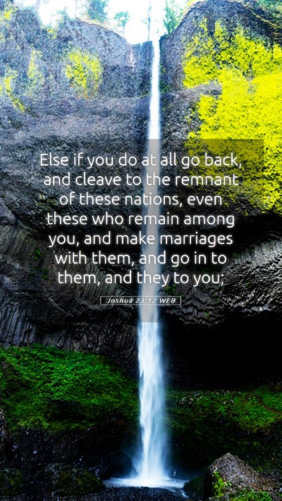 Picture 05 - Joshua 23:12 WEB Mobile Phone Wallpaper - Else if you do at all go back, and cleave to the - Mobile Bible Verse Wallpaper