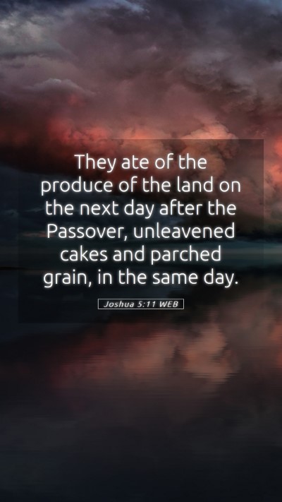 Picture 05 - Joshua 5:11 WEB Mobile Phone Wallpaper - They ate of the produce of the land on the next - Mobile Bible Verse Wallpaper