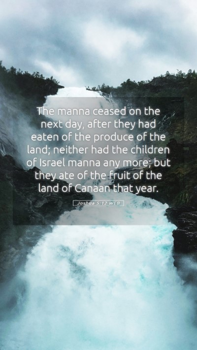 Picture 05 - Joshua 5:12 WEB Mobile Phone Wallpaper - The manna ceased on the next day, after they had - Mobile Bible Verse Wallpaper