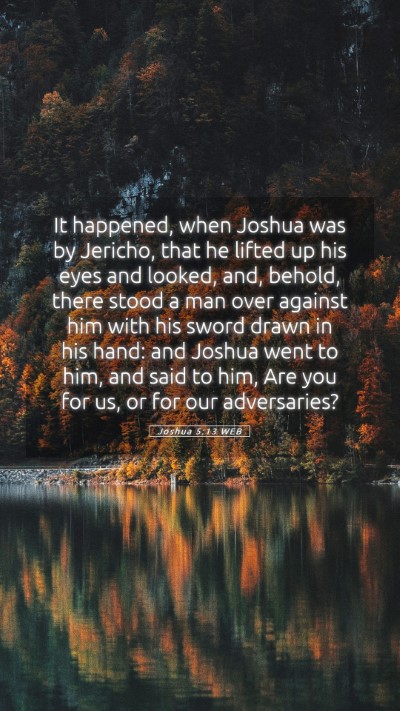 Picture 05 - Joshua 5:13 WEB Mobile Phone Wallpaper - It happened, when Joshua was by Jericho, that he - Mobile Bible Verse Wallpaper