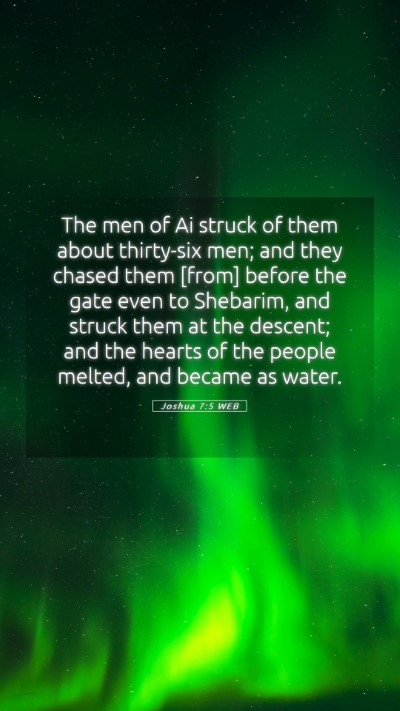 Picture 05 - Joshua 7:5 WEB Mobile Phone Wallpaper - The men of Ai struck of them about thirty-six - Mobile Bible Verse Wallpaper