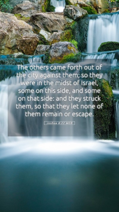 Picture 05 - Joshua 8:22 WEB Mobile Phone Wallpaper - The others came forth out of the city against - Mobile Bible Verse Wallpaper