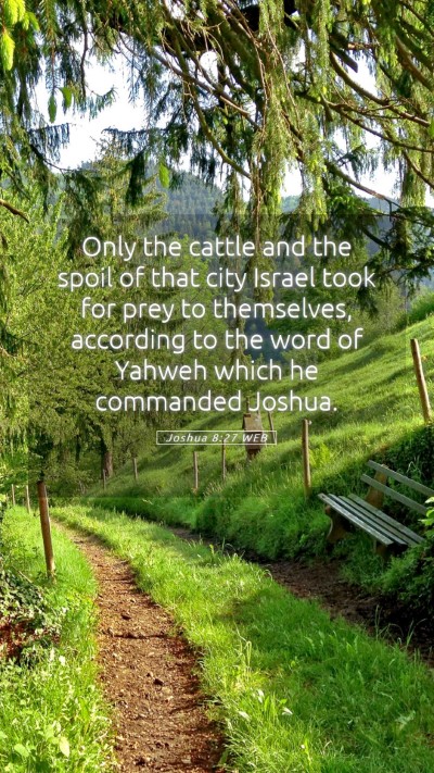 Picture 05 - Joshua 8:27 WEB Mobile Phone Wallpaper - Only the cattle and the spoil of that city Israel - Mobile Bible Verse Wallpaper