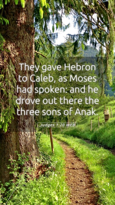 Picture 05 - Judges 1:20 WEB Mobile Phone Wallpaper - They gave Hebron to Caleb, as Moses had spoken: - Mobile Bible Verse Wallpaper