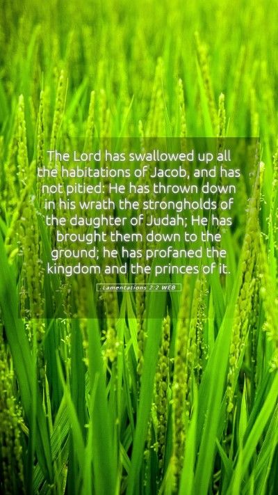 Picture 05 - Lamentations 2:2 WEB Mobile Phone Wallpaper - The Lord has swallowed up all the habitations of - Mobile Bible Verse Wallpaper
