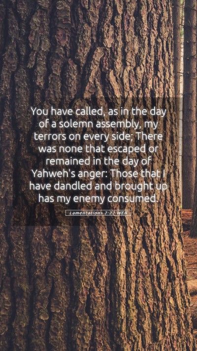 Picture 05 - Lamentations 2:22 WEB Mobile Phone Wallpaper - You have called, as in the day of a solemn - Mobile Bible Verse Wallpaper