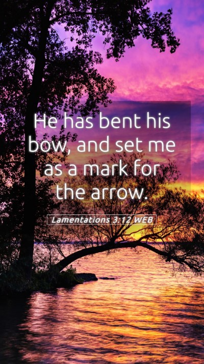 Picture 05 - Lamentations 3:12 WEB Mobile Phone Wallpaper - He has bent his bow, and set me as a mark for the - Mobile Bible Verse Wallpaper