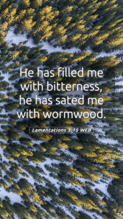 Picture 05 - Lamentations 3:15 WEB Mobile Phone Wallpaper - He has filled me with bitterness, he has sated me - Mobile Bible Verse Wallpaper