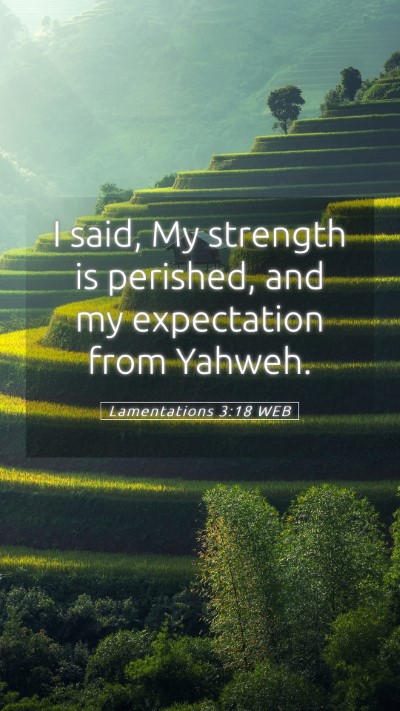 Picture 05 - Lamentations 3:18 WEB Mobile Phone Wallpaper - I said, My strength is perished, and my - Mobile Bible Verse Wallpaper