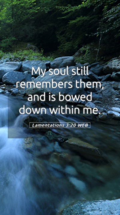 Picture 05 - Lamentations 3:20 WEB Mobile Phone Wallpaper - My soul still remembers them, and is bowed down - Mobile Bible Verse Wallpaper