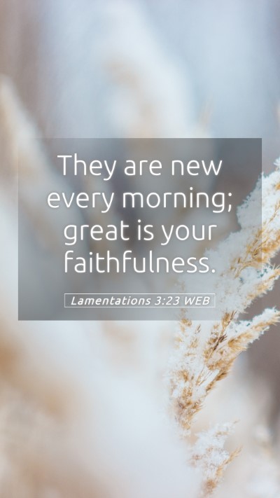 Picture 05 - Lamentations 3:23 WEB Mobile Phone Wallpaper - They are new every morning; great is your - Mobile Bible Verse Wallpaper