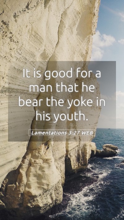 Picture 05 - Lamentations 3:27 WEB Mobile Phone Wallpaper - It is good for a man that he bear the yoke in his - Mobile Bible Verse Wallpaper