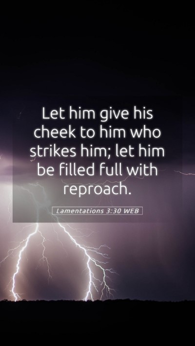 Picture 05 - Lamentations 3:30 WEB Mobile Phone Wallpaper - Let him give his cheek to him who strikes him; - Mobile Bible Verse Wallpaper