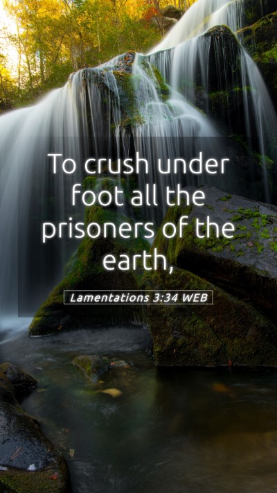 Picture 05 - Lamentations 3:34 WEB Mobile Phone Wallpaper - To crush under foot all the prisoners of the - Mobile Bible Verse Wallpaper