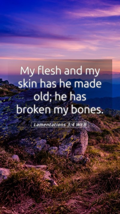 Picture 05 - Lamentations 3:4 WEB Mobile Phone Wallpaper - My flesh and my skin has he made old; he has - Mobile Bible Verse Wallpaper