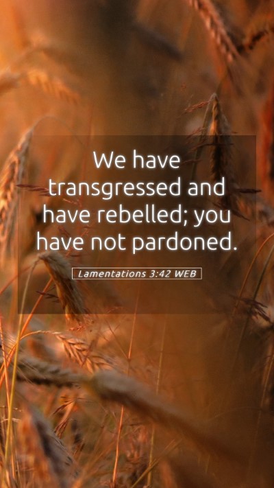 Picture 05 - Lamentations 3:42 WEB Mobile Phone Wallpaper - We have transgressed and have rebelled; you have - Mobile Bible Verse Wallpaper