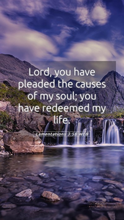 Picture 05 - Lamentations 3:58 WEB Mobile Phone Wallpaper - Lord, you have pleaded the causes of my soul; you - Mobile Bible Verse Wallpaper