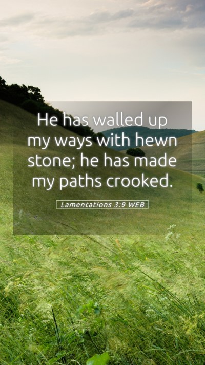 Picture 05 - Lamentations 3:9 WEB Mobile Phone Wallpaper - He has walled up my ways with hewn stone; he has - Mobile Bible Verse Wallpaper