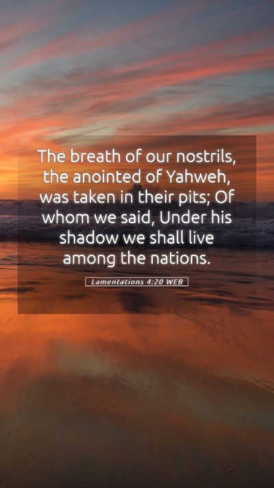 Picture 05 - Lamentations 4:20 WEB Mobile Phone Wallpaper - The breath of our nostrils, the anointed of - Mobile Bible Verse Wallpaper