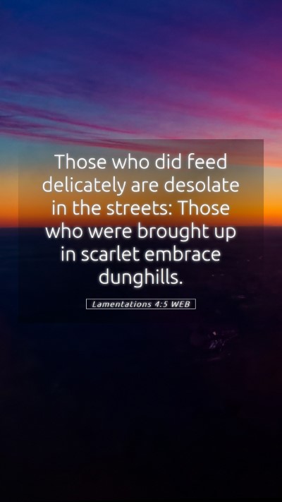Picture 05 - Lamentations 4:5 WEB Mobile Phone Wallpaper - Those who did feed delicately are desolate in the - Mobile Bible Verse Wallpaper