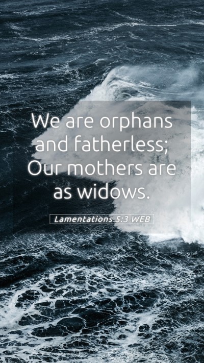 Picture 05 - Lamentations 5:3 WEB Mobile Phone Wallpaper - We are orphans and fatherless; Our mothers are as - Mobile Bible Verse Wallpaper