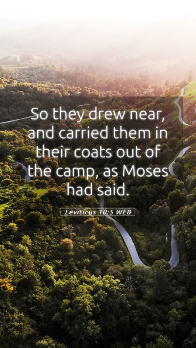 Picture 05 - Leviticus 10:5 WEB Mobile Phone Wallpaper - So they drew near, and carried them in their - Mobile Bible Verse Wallpaper