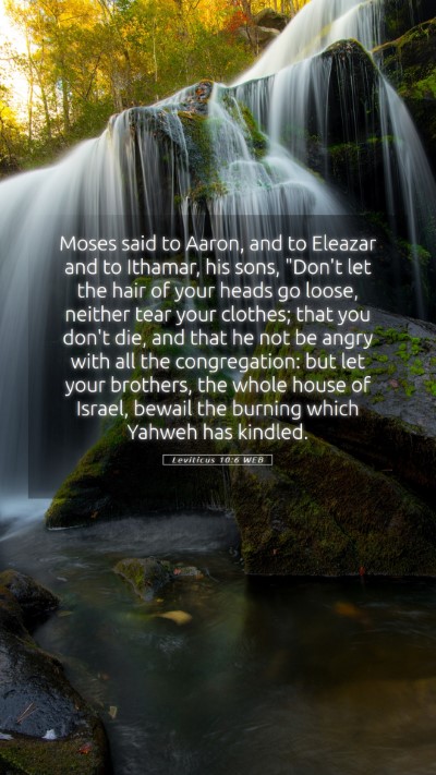 Picture 05 - Leviticus 10:6 WEB Mobile Phone Wallpaper - Moses said to Aaron, and to Eleazar and to - Mobile Bible Verse Wallpaper