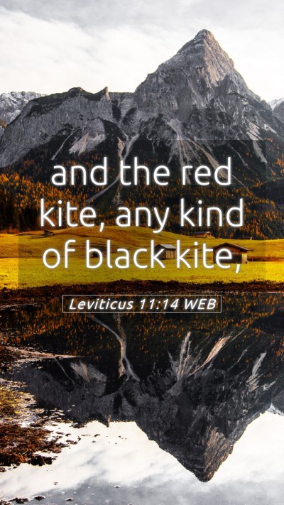 Picture 05 - Leviticus 11:14 WEB Mobile Phone Wallpaper - and the red kite, any kind of black - Mobile Bible Verse Wallpaper