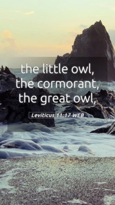 Picture 05 - Leviticus 11:17 WEB Mobile Phone Wallpaper - the little owl, the cormorant, the great - Mobile Bible Verse Wallpaper