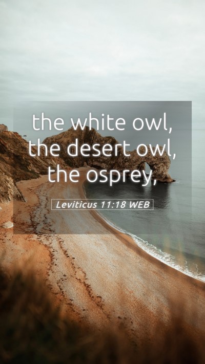 Picture 05 - Leviticus 11:18 WEB Mobile Phone Wallpaper - the white owl, the desert owl, the - Mobile Bible Verse Wallpaper