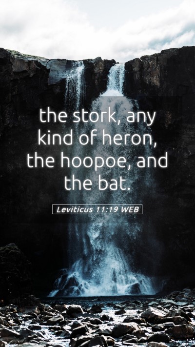 Picture 05 - Leviticus 11:19 WEB Mobile Phone Wallpaper - the stork, any kind of heron, the hoopoe, and the - Mobile Bible Verse Wallpaper