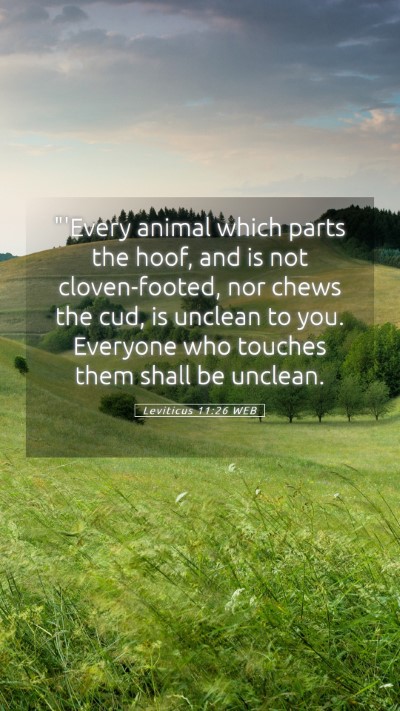 Picture 05 - Leviticus 11:26 WEB Mobile Phone Wallpaper - 