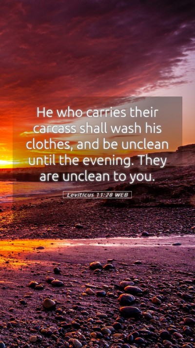 Picture 05 - Leviticus 11:28 WEB Mobile Phone Wallpaper - He who carries their carcass shall wash his - Mobile Bible Verse Wallpaper