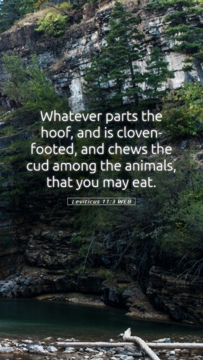 Picture 05 - Leviticus 11:3 WEB Mobile Phone Wallpaper - Whatever parts the hoof, and is cloven-footed, - Mobile Bible Verse Wallpaper